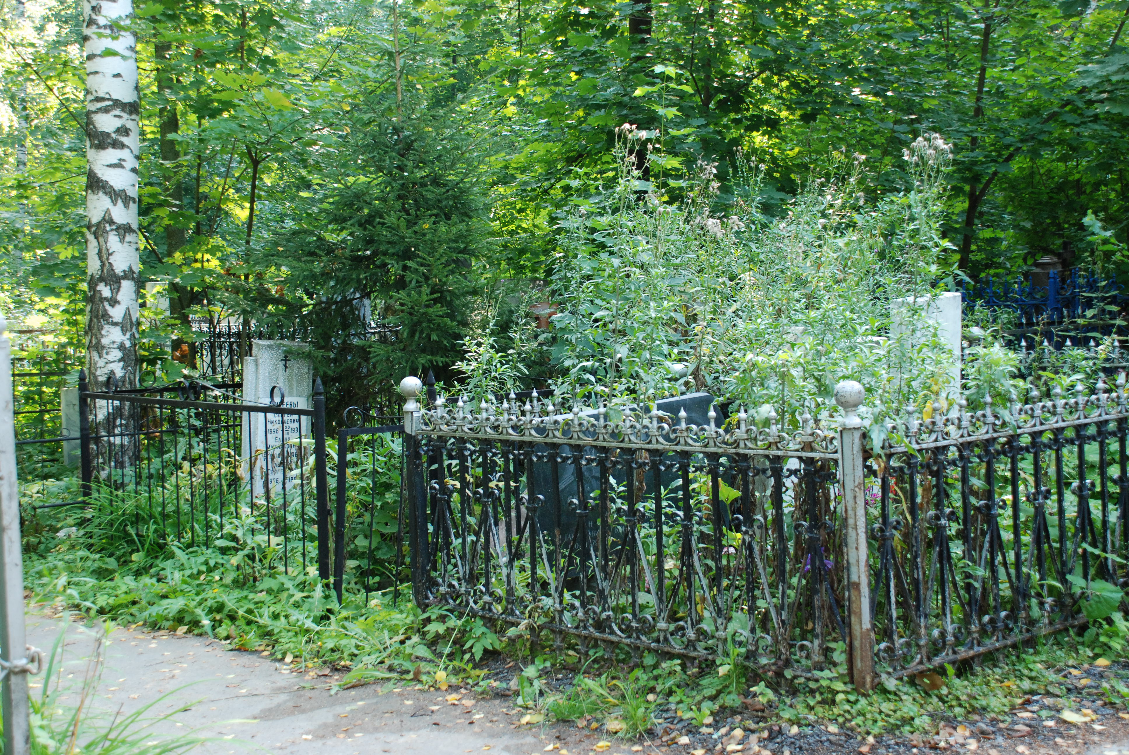 Работы по благоустройству Бугровского кладбища в Нижнем Новгороде вышли на завершающую стадию (ФОТО) - фото 4