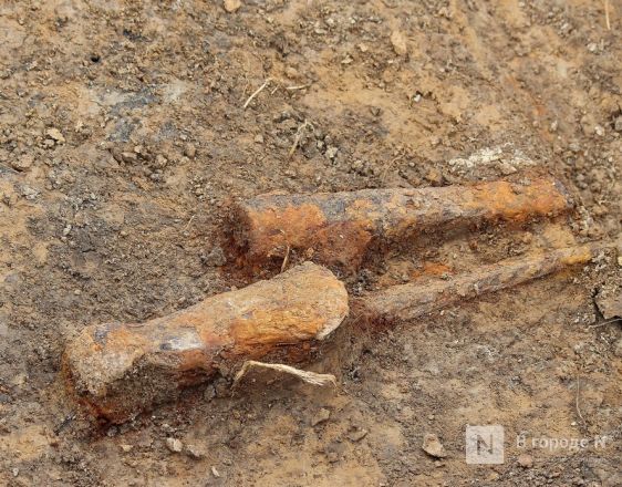 Проклятье мужчины с копьем: что обнаружили археологи под Вачей - фото 71