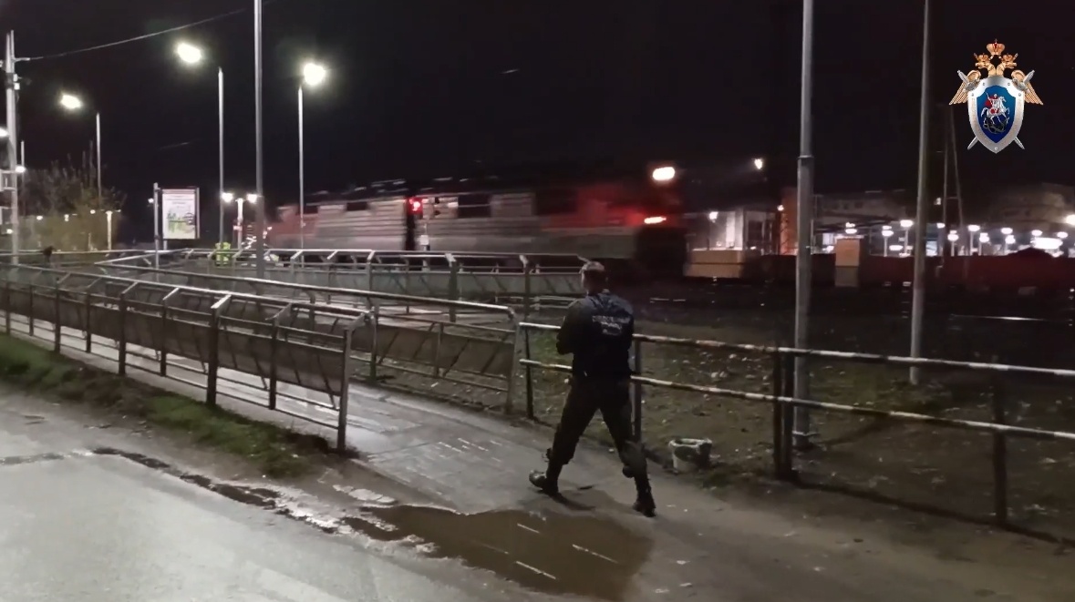 Поезд насмерть переехал мужчину в Нижегородской области - фото 1