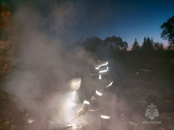 Опубликованы фото с места смертельного пожара в Лукояновском округе - фото 1
