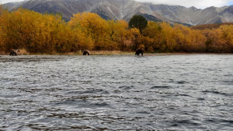 Пять вулканов и низкие цены: нижегородка рассказала о невероятном путешествии на Камчатку - фото 86