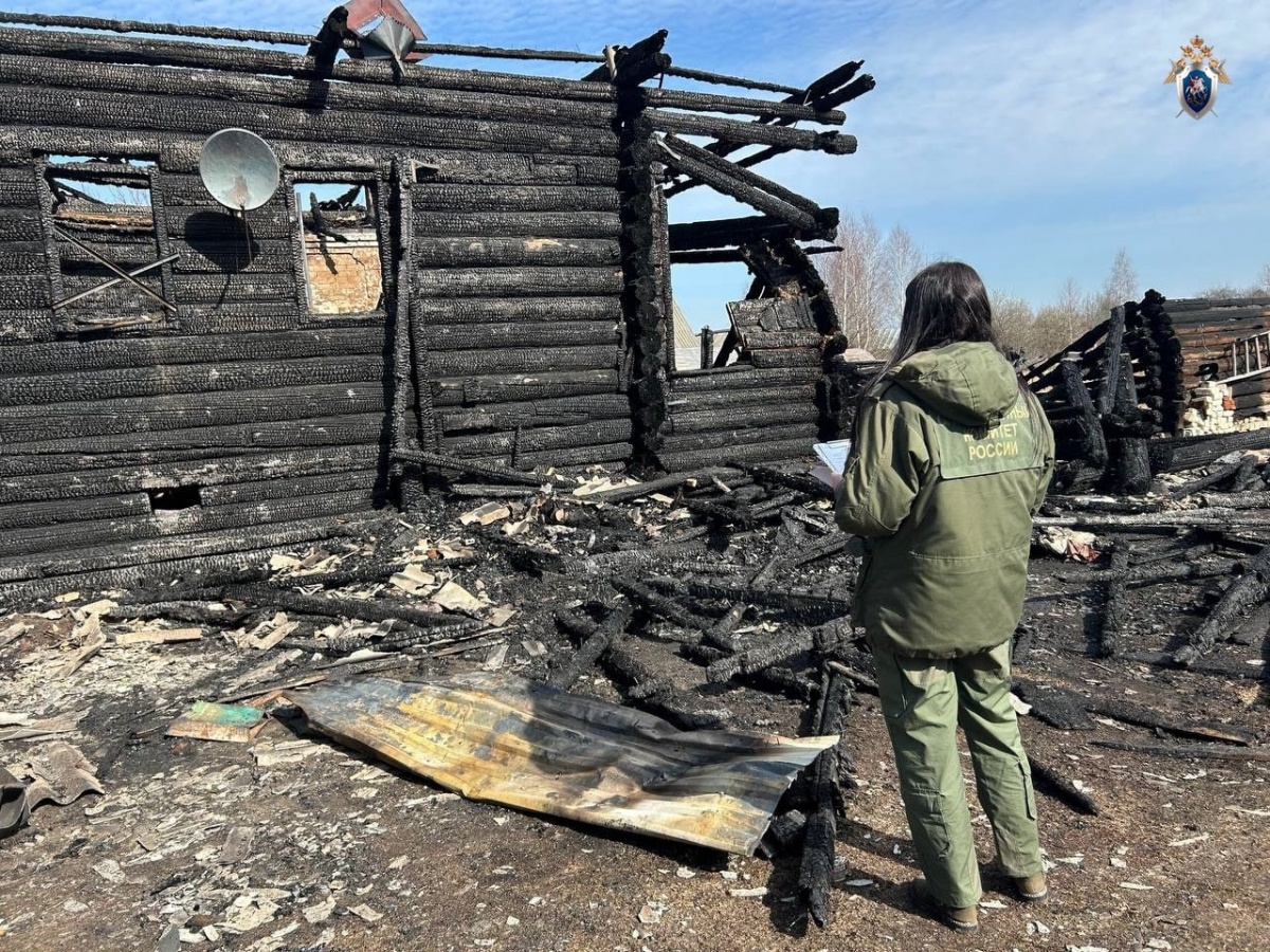 Пожар с погибшими в Нижегородской области закончился уголовным делом - фото 1