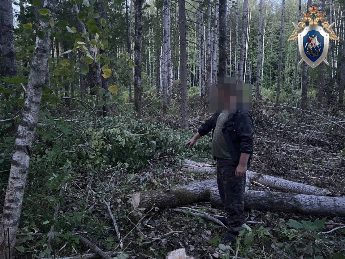 Работодателя осудят из-за смерти вальщика леса в Нижегородской области - фото 1