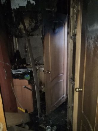 Пенсионерка сгорела в квартире на улице Заярской в Нижнем Новгороде - фото 2