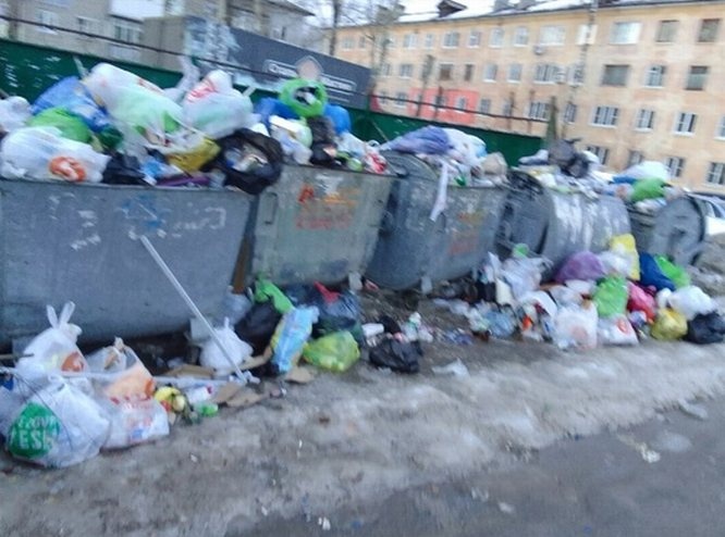 Нижегородцы жалуются на невывоз мусора из контейнеров - фото 1