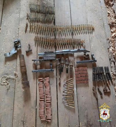 21 огнестрельное оружие и 452 боеприпаса изъяли в Нижегородской области - фото 2