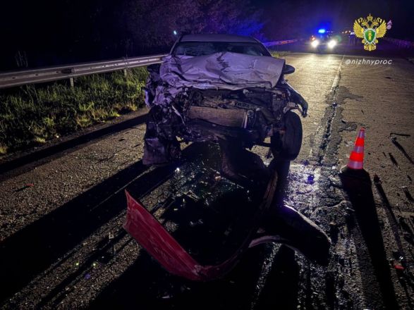 Без прав и на скорости: три смертельных ДТП произошли в Нижегородской области за сутки - фото 5