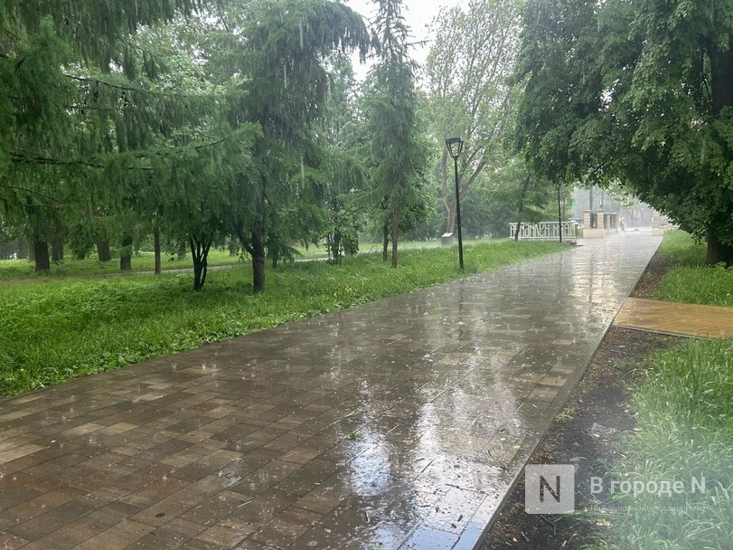 МЧС предупредило о сильном ливне в Нижегородской области - фото 1