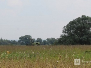 Около 1600 рабочих мест появится на сельхозпредприятиях Нижегородской области