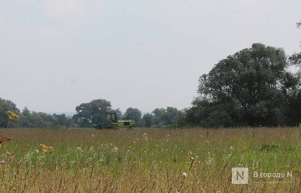 Более 10 тысяч га сельскохозяйственных земель не используются в Нижегородской области - фото 1