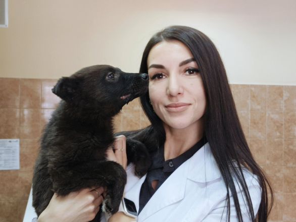 Нижегородцы спасли застрявшего между гаражами щенка - фото 3