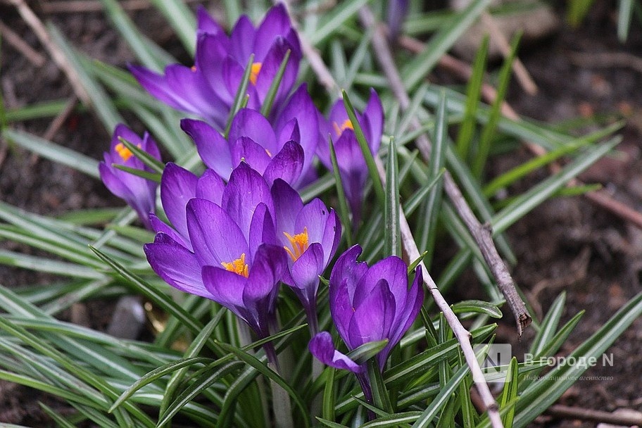 Опубликован прогноз погоды в Нижнем Новгороде на первые майские праздники - фото 1