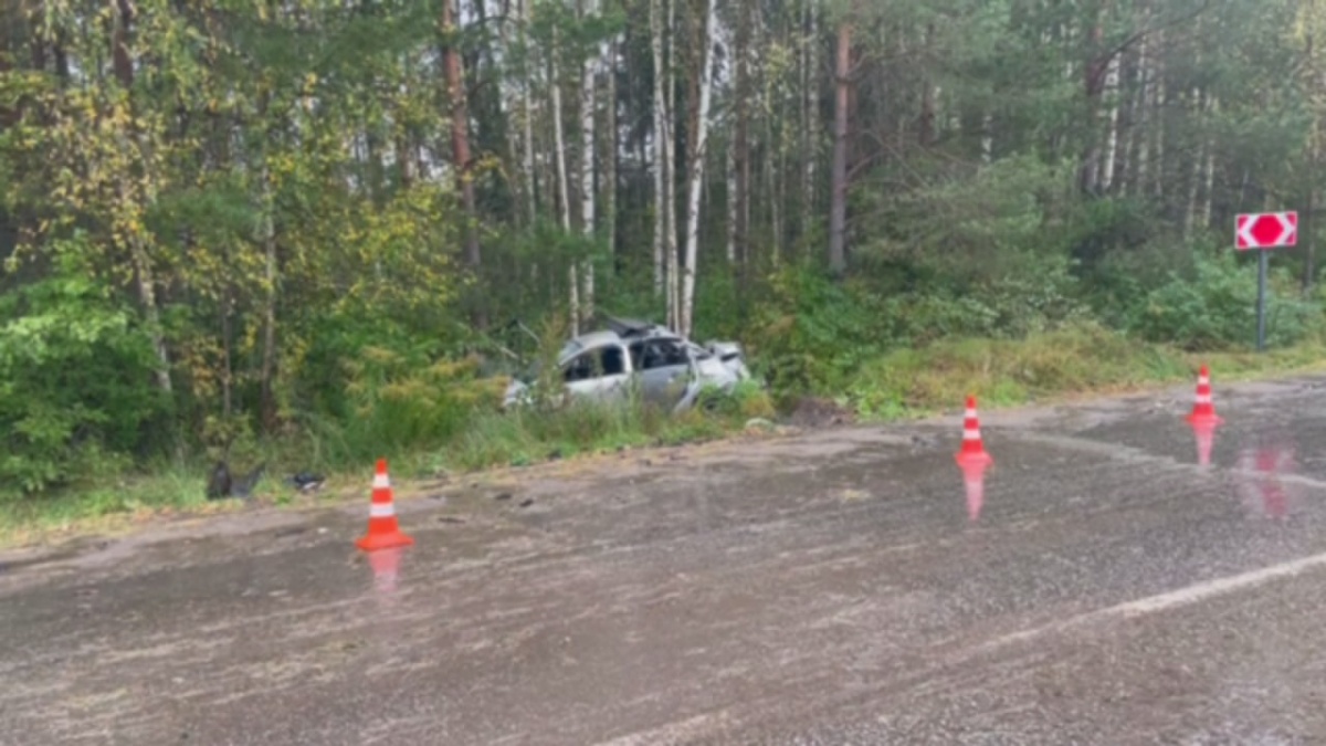 Водитель погиб в вылетевшем в кювет автомобиле в Городецком округе - фото 1