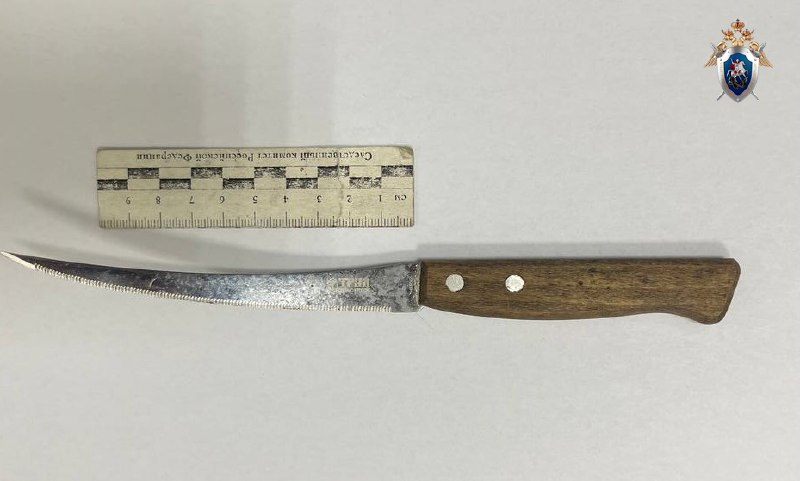 Нижегородец зарезал женщину в квартире на Автозаводе - фото 1