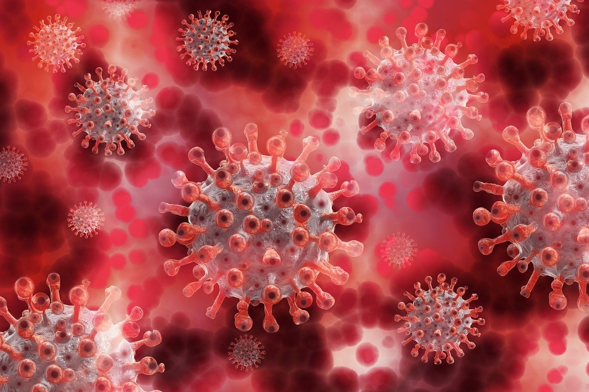 Еще 24 нижегородца скончались от коронавирусной инфекции за сутки