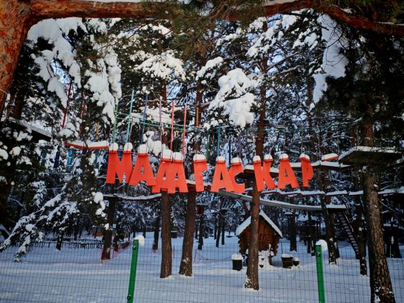 Аномальные морозы в Нижнем Новгороде: фоторепортаж из заснеженных парков - фото 29