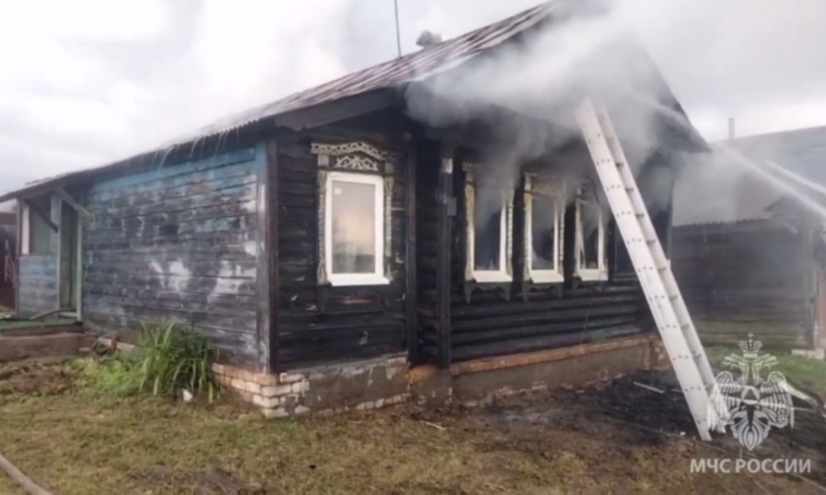 80-летняя женщина погибла на пожаре в деревне в Нижегородской области - фото 1