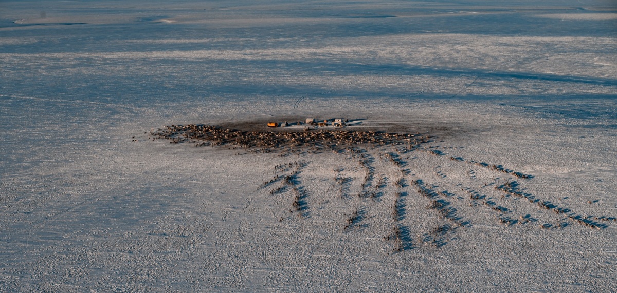 Вместе в цифровое будущее: стартует юбилейный конкурс &laquo;Ростелекома&raquo; для региональных ИТ-журналистов и блогеров - фото 1