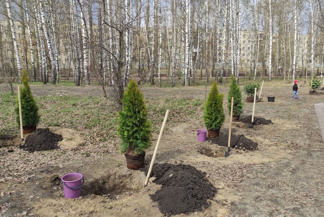 Больше сотни деревьев посадят в Сормовском районе - фото 1