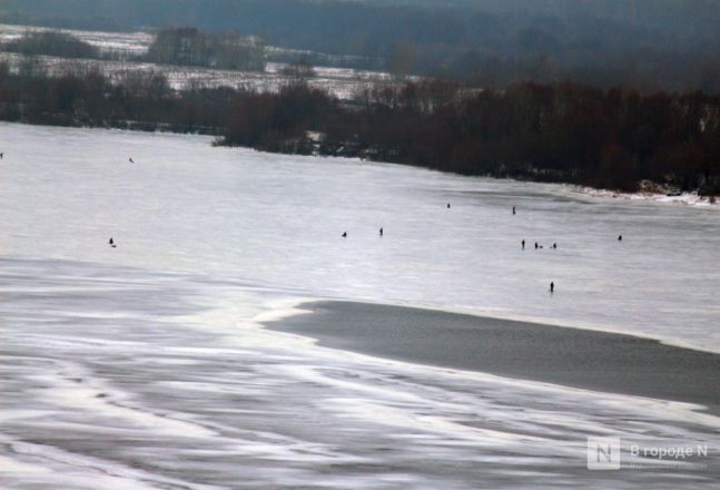 Аномальное потепление в январе: фоторепортаж с улиц Нижнего Новгорода - фото 15