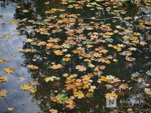 Та самая пушкинская осень: уютный фоторепортаж из Большого Болдина - фото 13