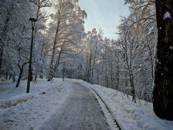 Аномальные морозы в Нижнем Новгороде: фоторепортаж из заснеженных парков - фото 15