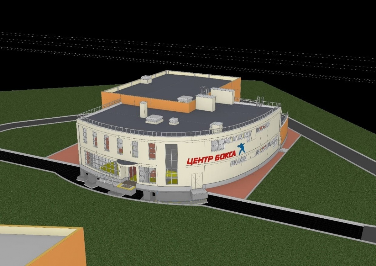 Открытие нового центра бокса в Городце перенесли на 12 июня  - фото 1