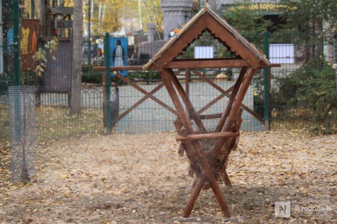 Новый павильон строят в зоопарке «Лимпопо» в Нижнем Новгороде - фото 15