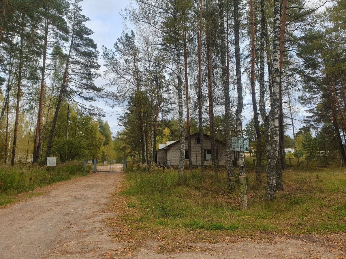 Бывшая стройплощадка &laquo;Школы 800&raquo; на Бору еще арендуется концессионером - фото 1