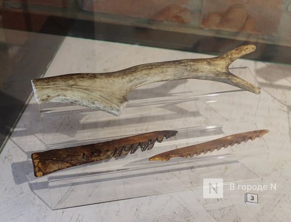 Ледниковый период по-нижегородски: палеонтологическая выставка открылась в Кремле - фото 28