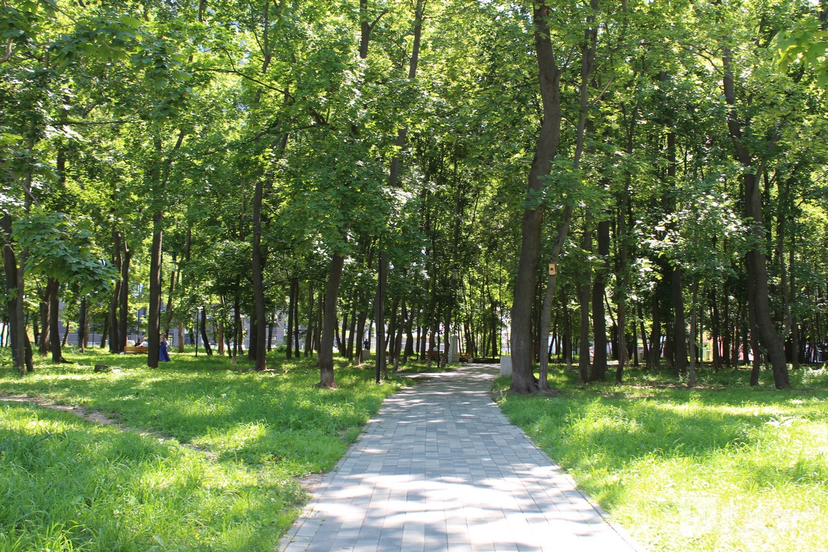 Жизнь на костях: что сейчас находится на месте старых кладбищ в Нижнем Новгороде - фото 19