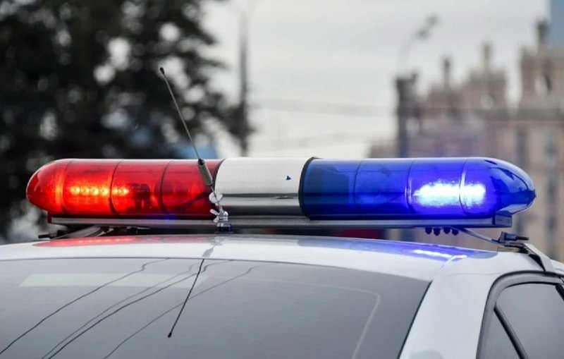 Нижегородские полицейские задержали агрессивного водителя - фото 1