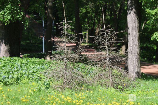 И снова провал: что не успели отремонтировать в Нижнем Новгороде после зимы — фоторепортаж - фото 22
