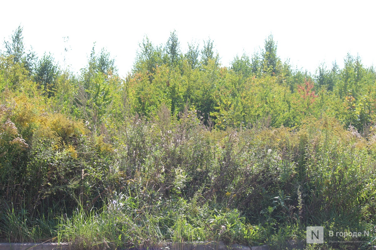 &laquo;Не хотим дышать пылью&raquo;: почему разгорелся скандал вокруг строительства склада Wildberries в Новинках и что будет дальше - фото 7