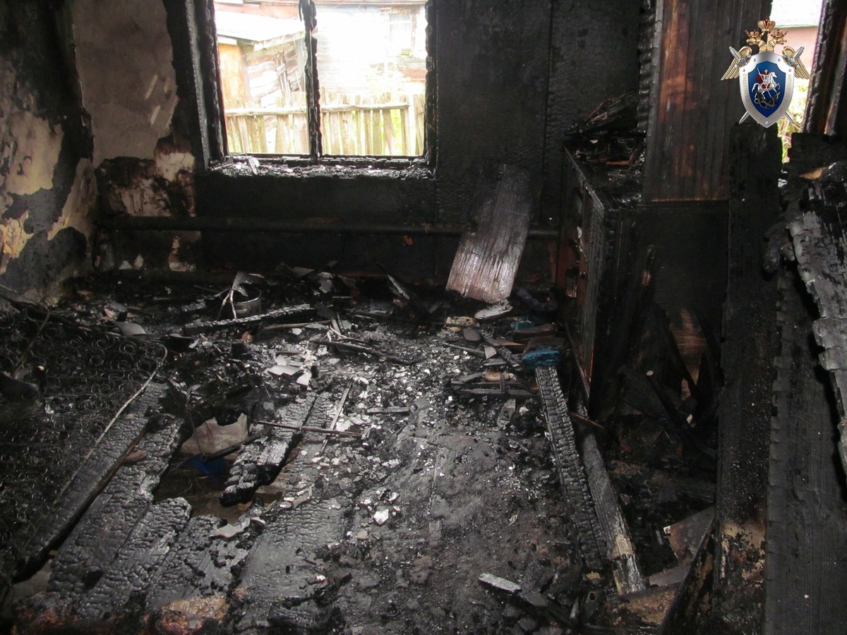 Следователи выясняют обстоятельства гибели мужчины на пожаре в Вачском районе - фото 1