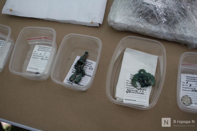 Могилы коней и старинные монеты: фоторепортаж с археологических раскопок в Нижегородской области - фото 139