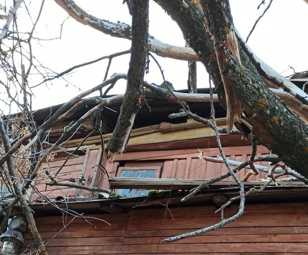 Стало известно, что будет с жителями дома на Студеной, разрушенного деревом - фото 1