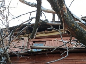 Стала известна судьба жителей разрушенного деревом дома на Студеной