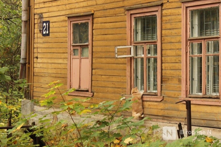 Более 100 нижегородцев подписали петицию за сохранение «Красного просвещенца» - фото 1