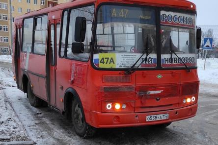 Маршрут автобуса А-47 могут перенести с улицы Надежды Сусловой на улицу Адмирала Васюнина