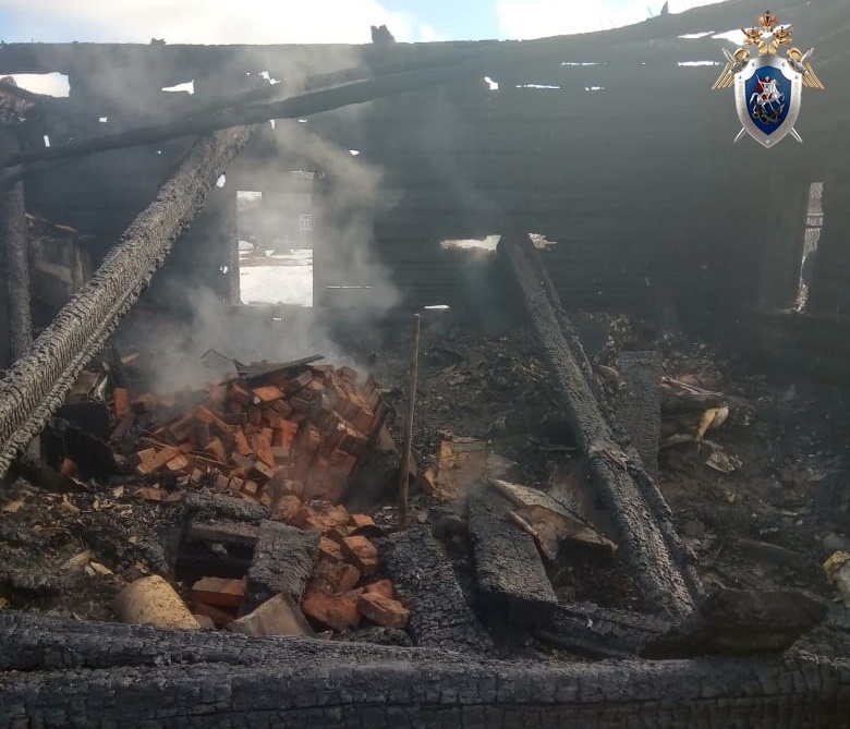 Следователи ведут проверку по факту гибели пенсионерки на пожаре в Тоншаевском районе - фото 2
