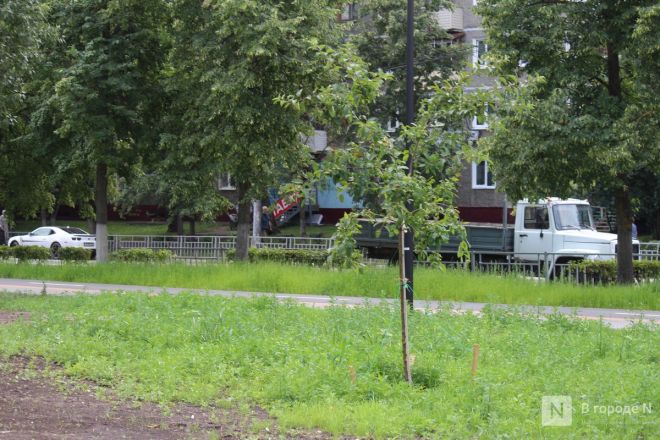 Благоустройство &ndash;  2025: смотрим, как меняются пространства в районах Нижнего Новгорода - фото 65