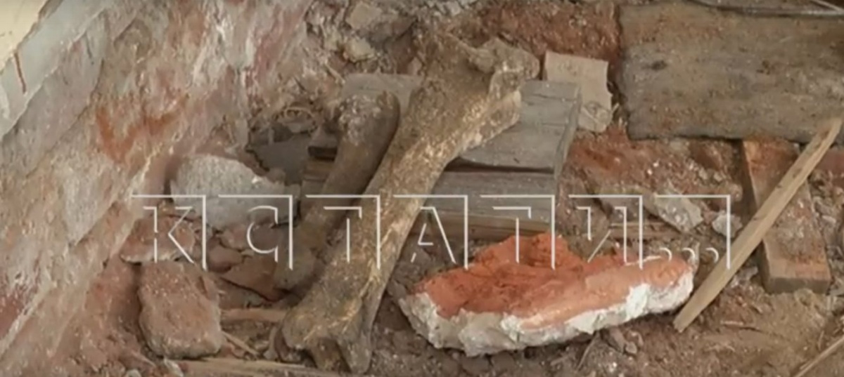Человеческие останки обнаружены под балахнинской школой - фото 1