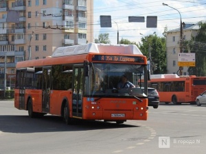 Еще одна выделенная полоса для общественного транспорта появится в Нижнем Новгороде