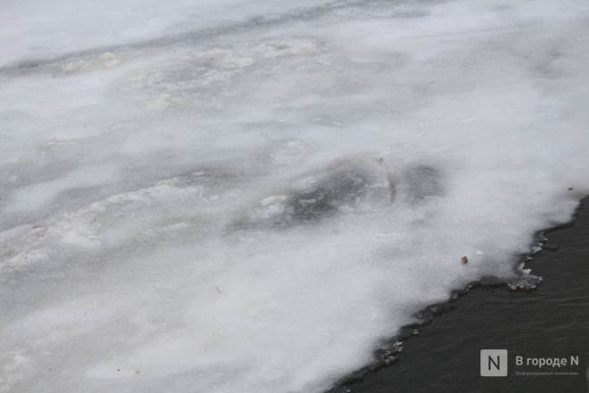 Аномальное потепление в январе: фоторепортаж с улиц Нижнего Новгорода - фото 7