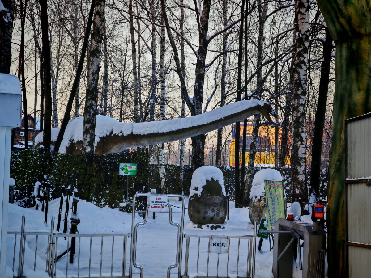 Аномальные морозы в Нижнем Новгороде: фоторепортаж из заснеженных парков - фото 33