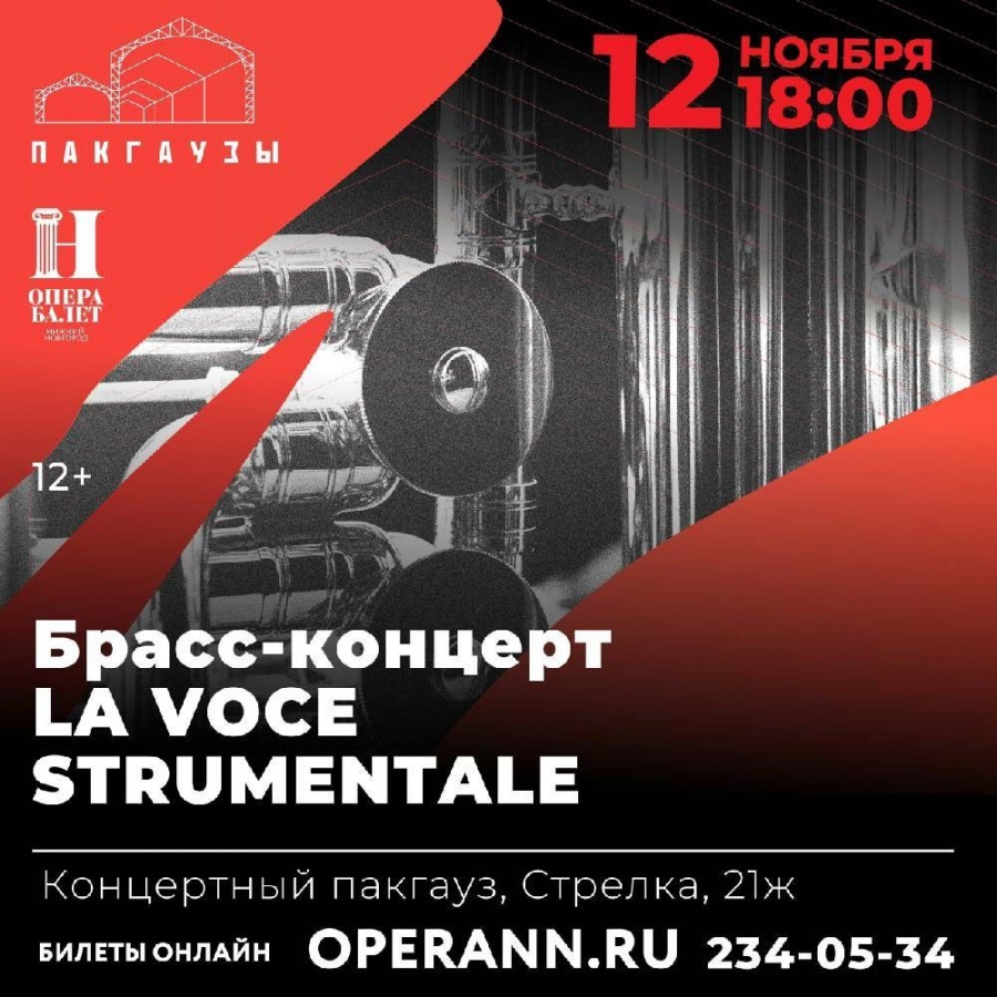Брасс-концерт артистов La Voce Strumentale пройдёт на Стрелке в Нижнем Новгороде  - фото 1