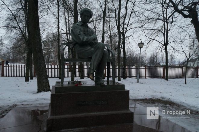 Первые туристы стали участниками зимней сказки в Пушкинском Болдине - фото 27
