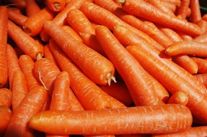 Морковь подешевела в Нижегородской области на 6% - фото 1
