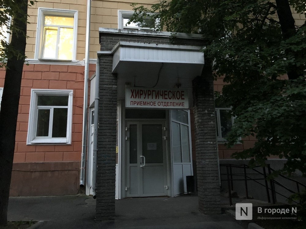 Пять случаев заболевания дирофиляриозом выявили за I полугодие в Нижегородской области